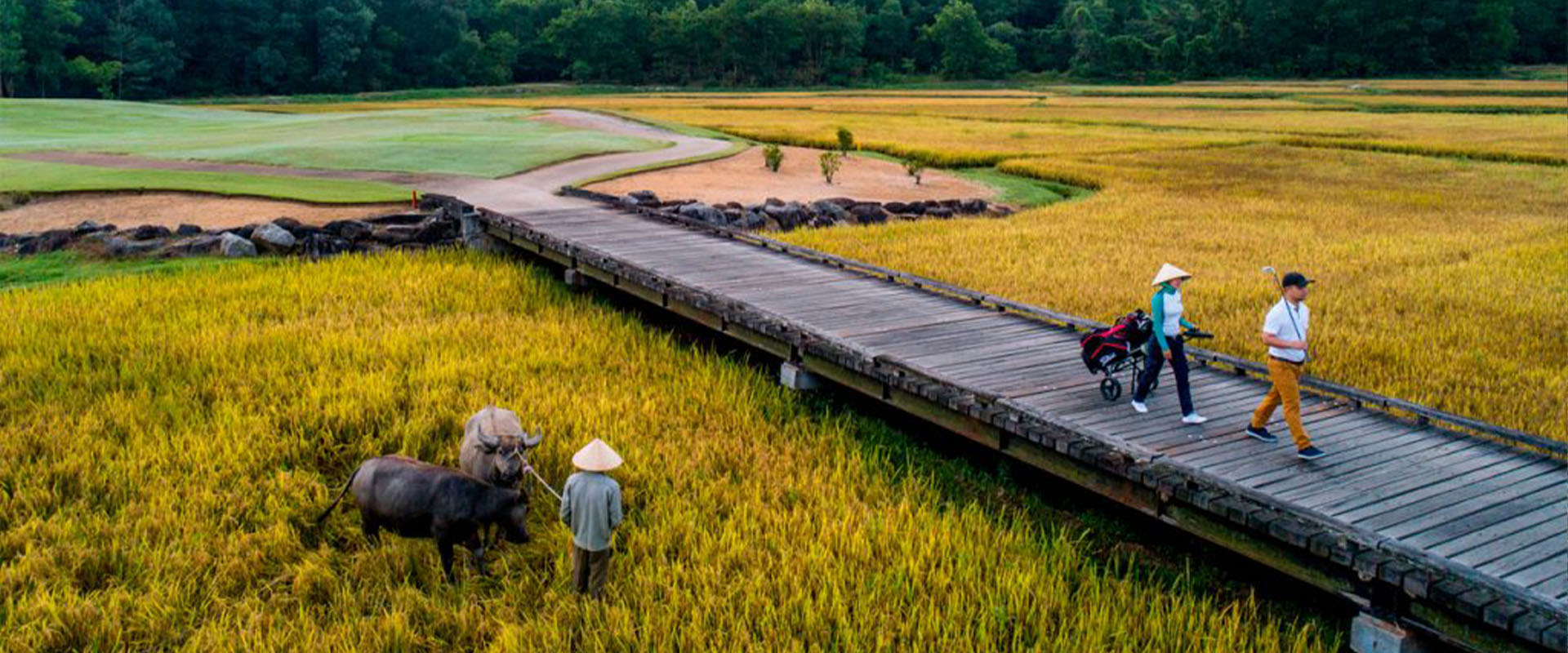 Laguna Golf Lang Co: Premier Golfing Experience in Vietnam