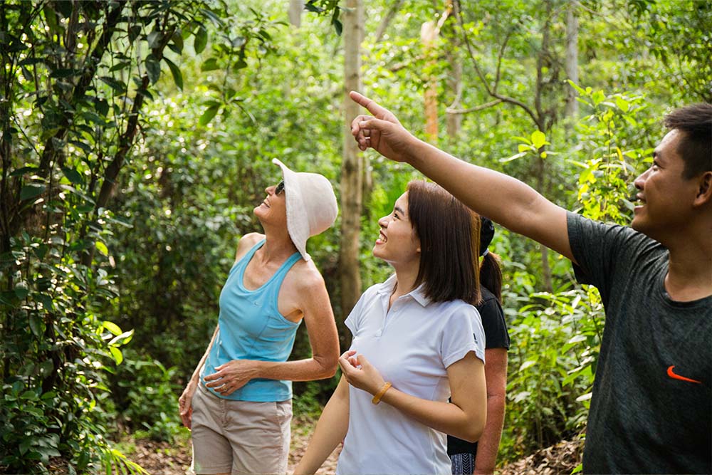 Forest Farm Mountain Hike