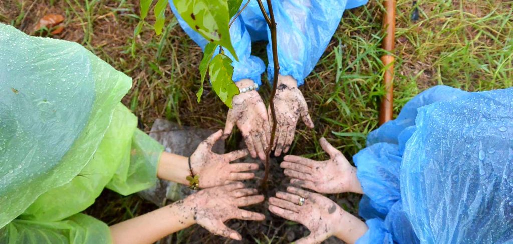 Greening Communities