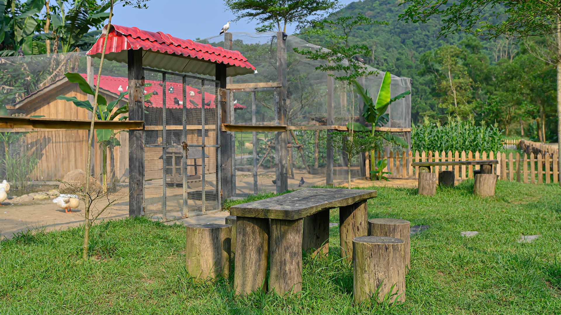 Jungle Farm at Laguna Lang Co A Natural & Organic Experience