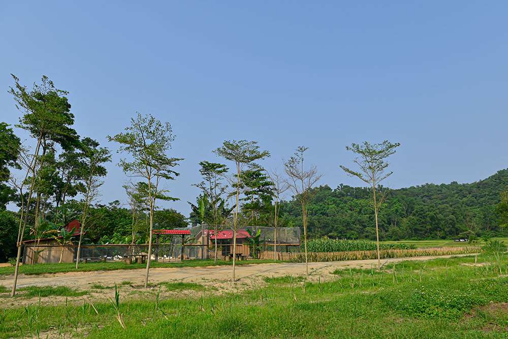 Organic Garden Worm Farm 8