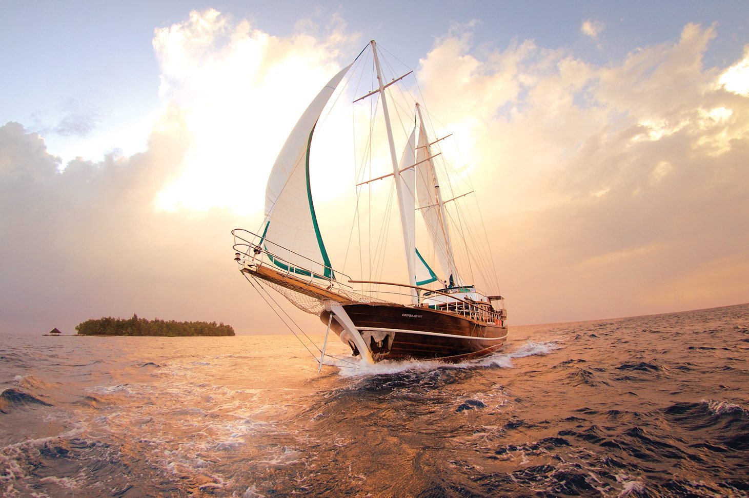 25557200-H1-BTMV_IG_Velaa01