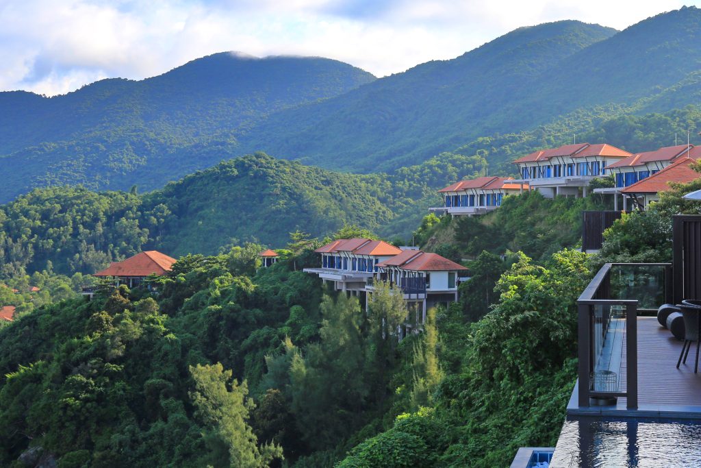 Banyan-Tree-Overview-10-1024x683