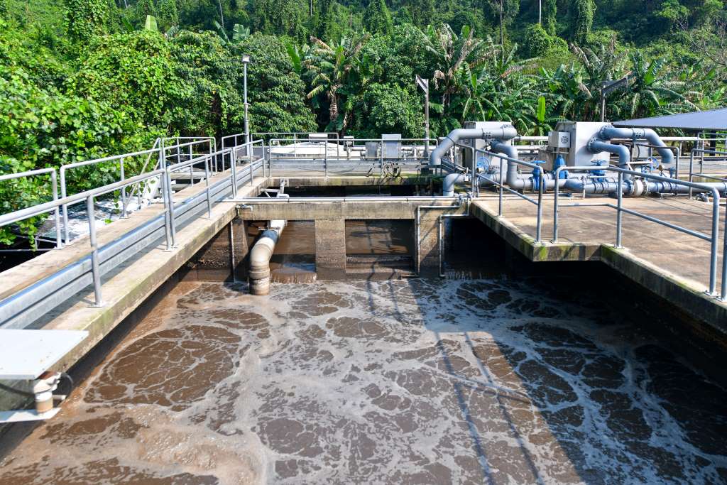 be-thieu-khi-laguna-lang-co