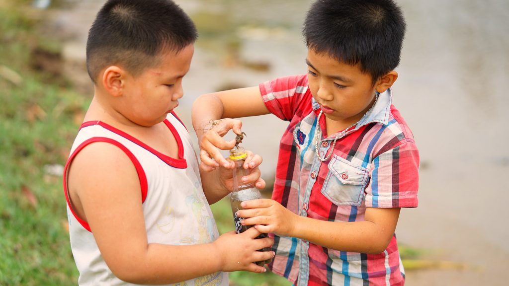 tre-em-choi-dua-tren-dam-lap-an-lang-co