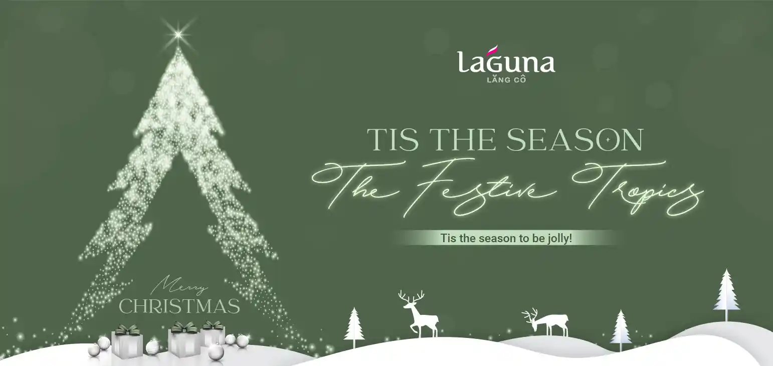 Festive Season Highlight-06