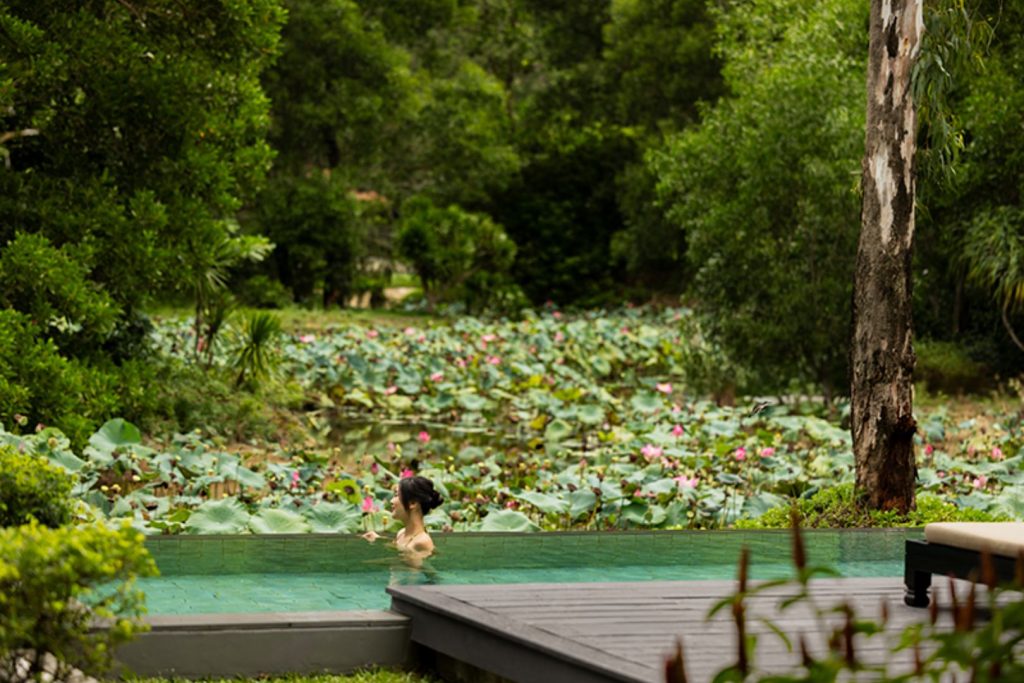 Mùa hoa sen - Sắc màu của Banyan Tree Lăng Cô Huế