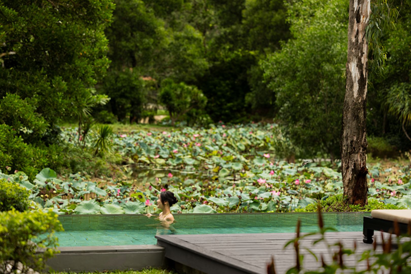 Mùa hoa sen - Sắc màu của Banyan Tree Lăng Cô Huế