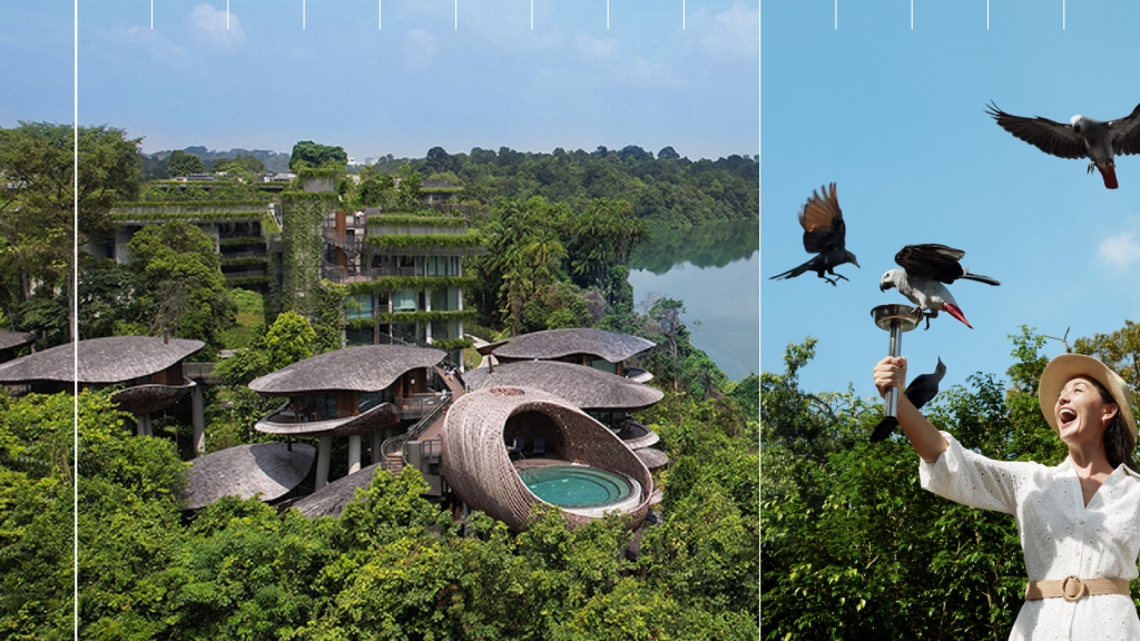Mandai Rainforest Resort by Banyan Tree, Banyan Group