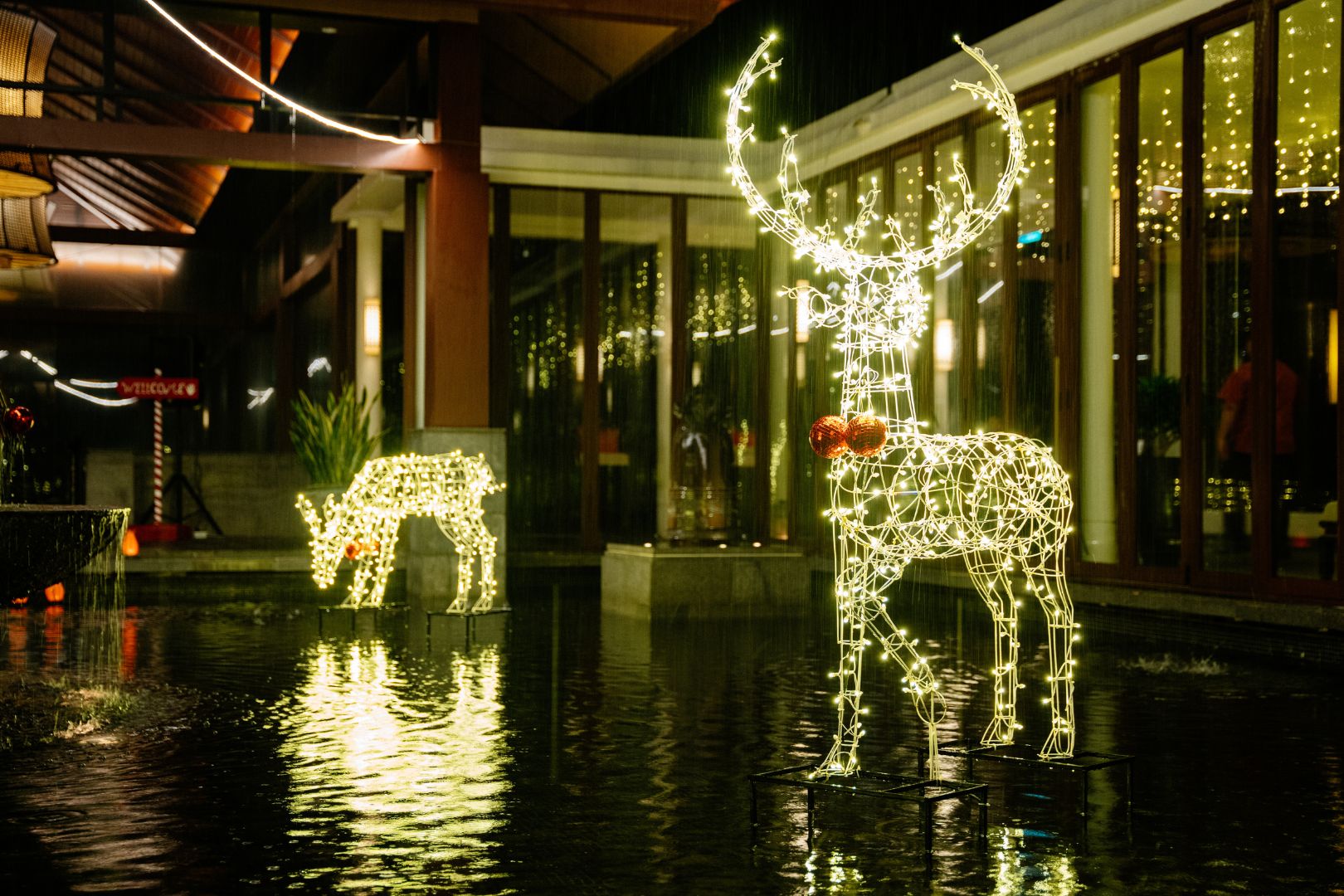 Lễ thắp sáng cây thông trong mùa lễ hội 2025 tại Laguna Lăng Cô