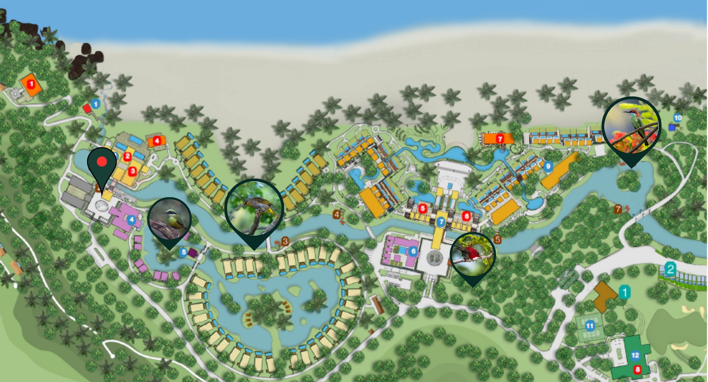 Lộ trình ngắm chim xuất phát từ tiền sảnh của Banyan Tree Lăng Cô tại Laguna Lăng Cô