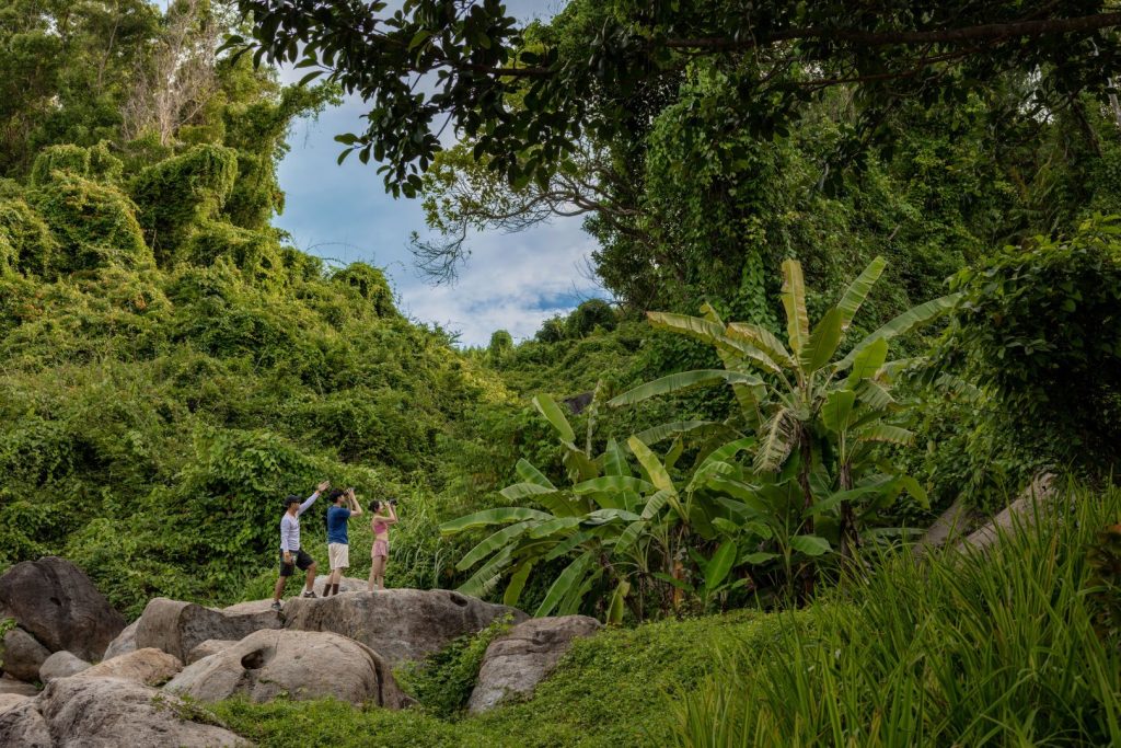 Hoạt động ngắm chim tại Laguna Lăng Cô