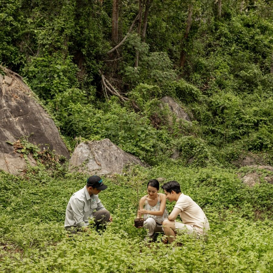 tet_lunar_new_year_2026 (16)