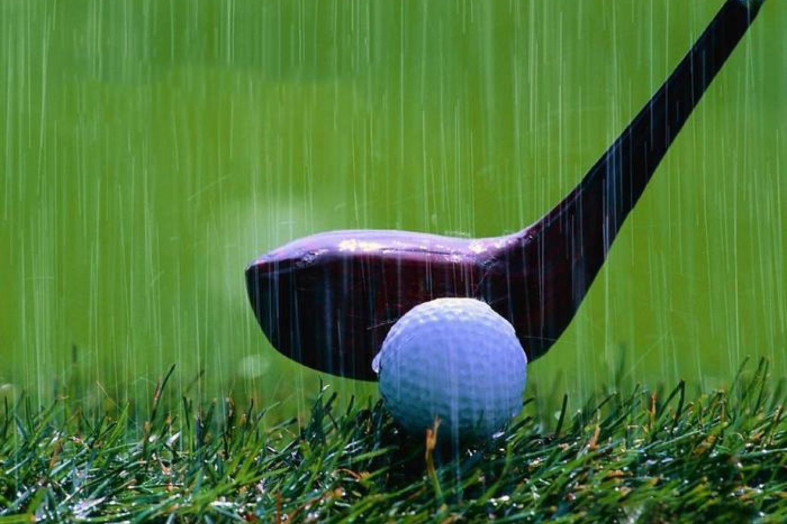 Golfer chơi golf mùa mưa tại Laguna Golf Lăng Cô